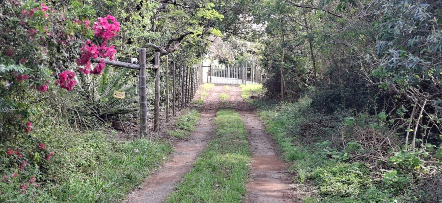 Commercial Property for Sale in Meisies Halt Eastern Cape